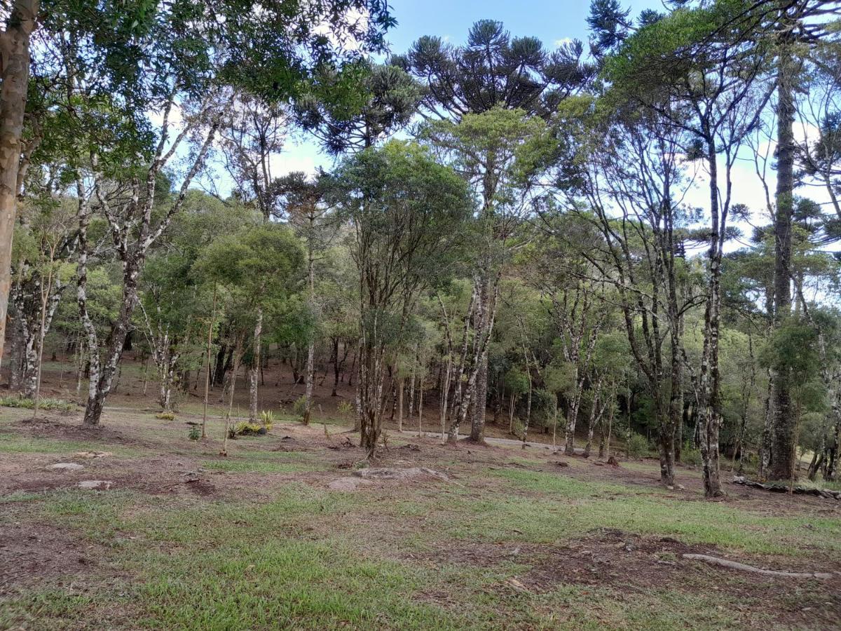 Cabanas Dos Pinheiros São Francisco de Paula Exterior foto