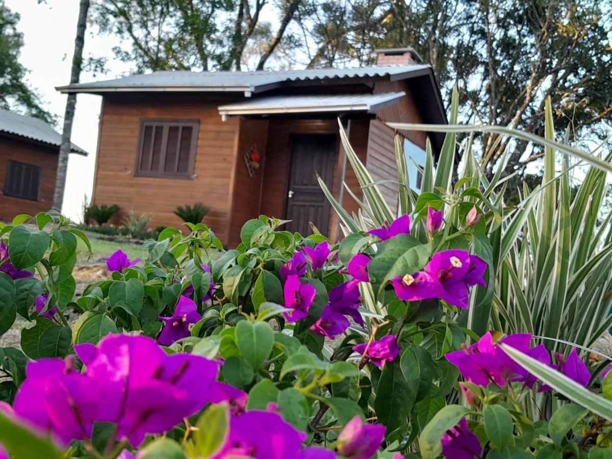 Cabanas Dos Pinheiros São Francisco de Paula Exterior foto