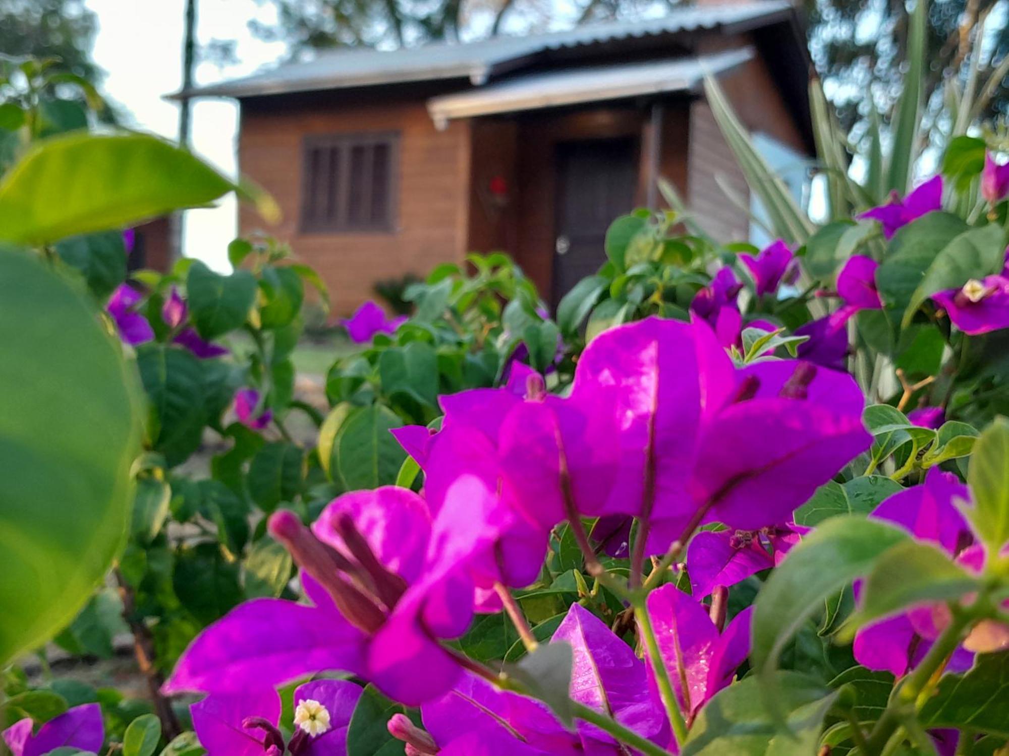 Cabanas Dos Pinheiros São Francisco de Paula Quarto foto