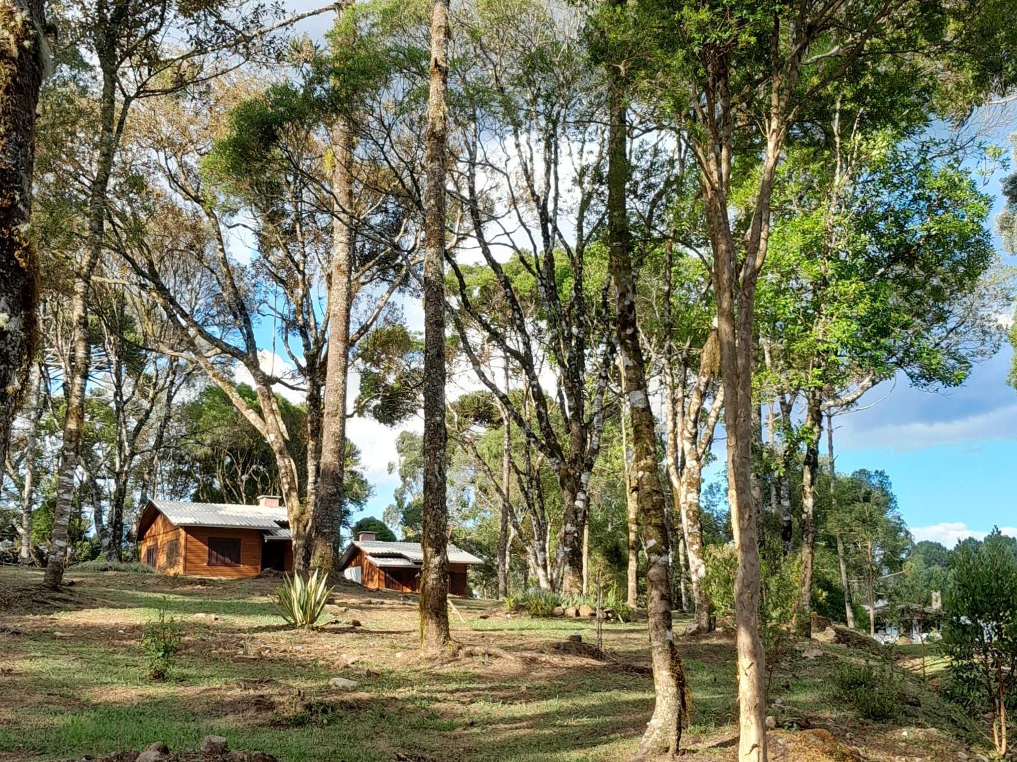 Cabanas Dos Pinheiros São Francisco de Paula Quarto foto