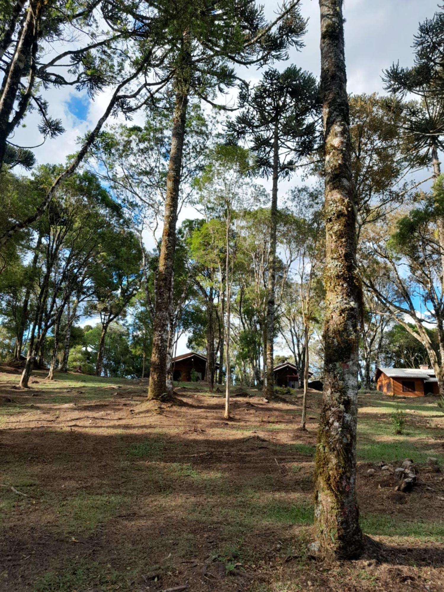 Cabanas Dos Pinheiros São Francisco de Paula Quarto foto