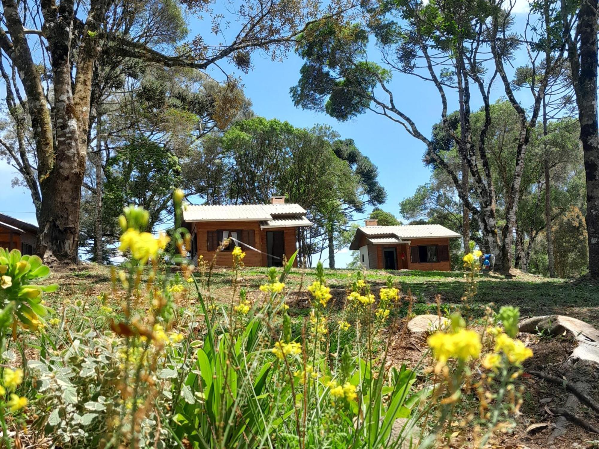 Cabanas Dos Pinheiros São Francisco de Paula Quarto foto