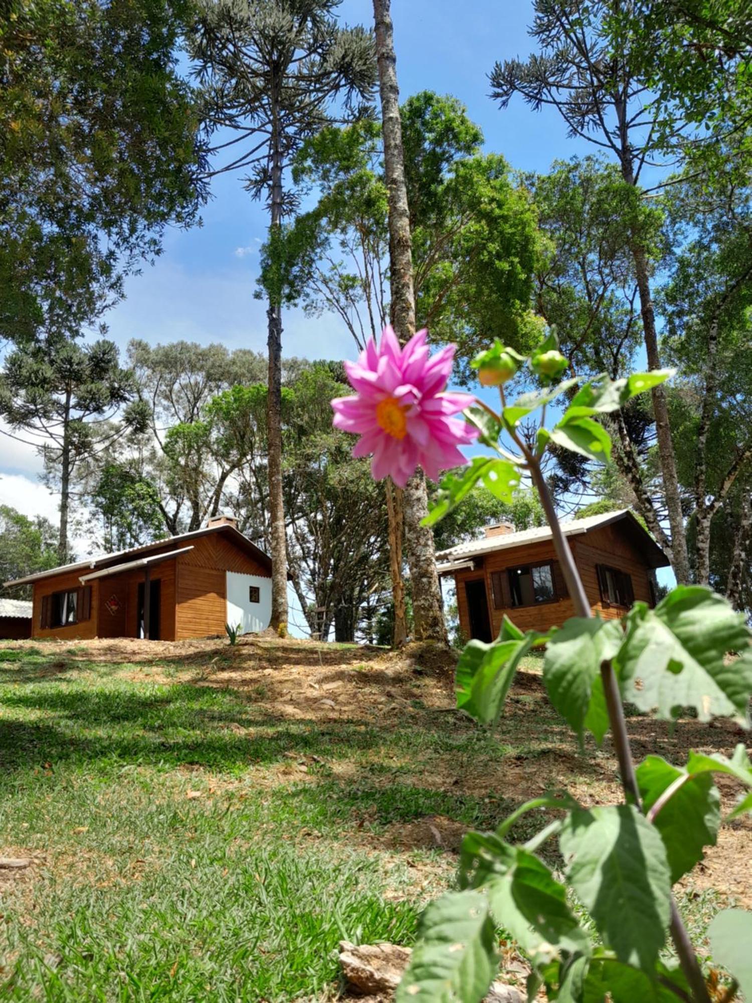Cabanas Dos Pinheiros São Francisco de Paula Quarto foto